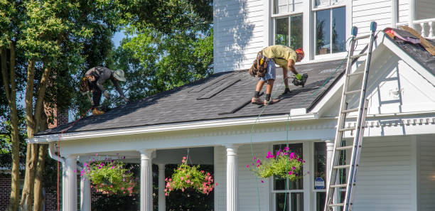 Best Roof Repair Services  in Appleton, WI